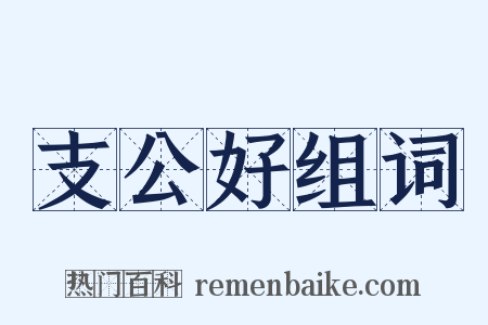 支公好组词是什么意思的图片